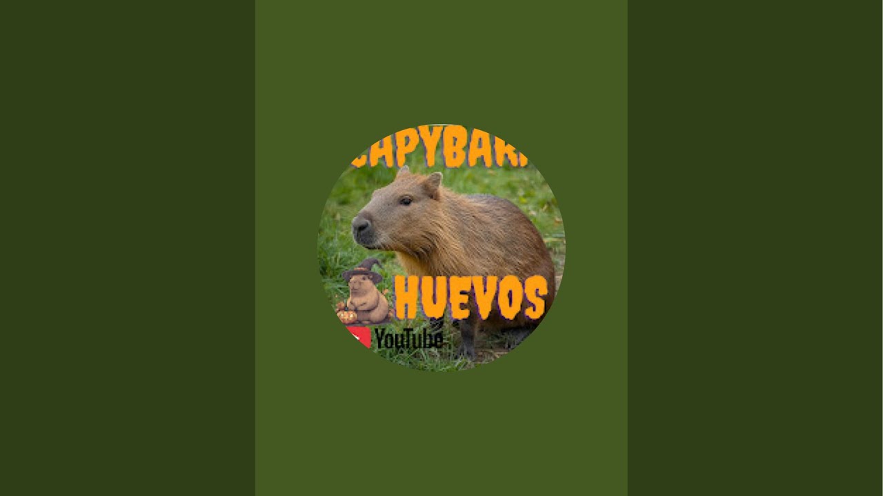 Huevos de capibara 🥚 está en vivo