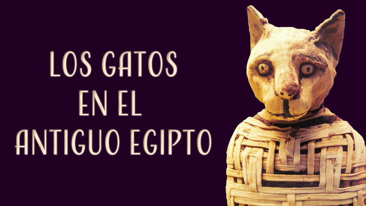 😻 😼 😽 &iquest;Eran los GATOS DIOSES en el antiguo Egipto &iexcl;Miau! 😻 😼 😽 | Dentro de la pir&aacute;mide | Nacho Ares