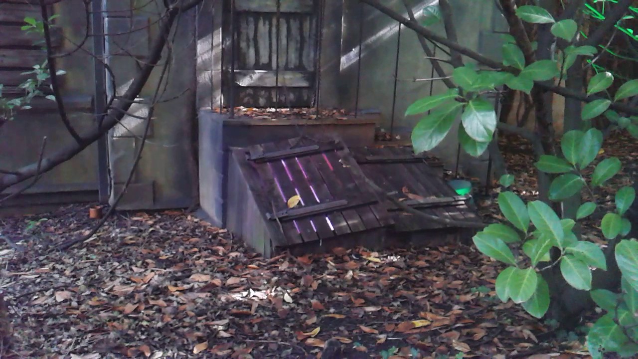 Drayton Manor - Haunting Entrance