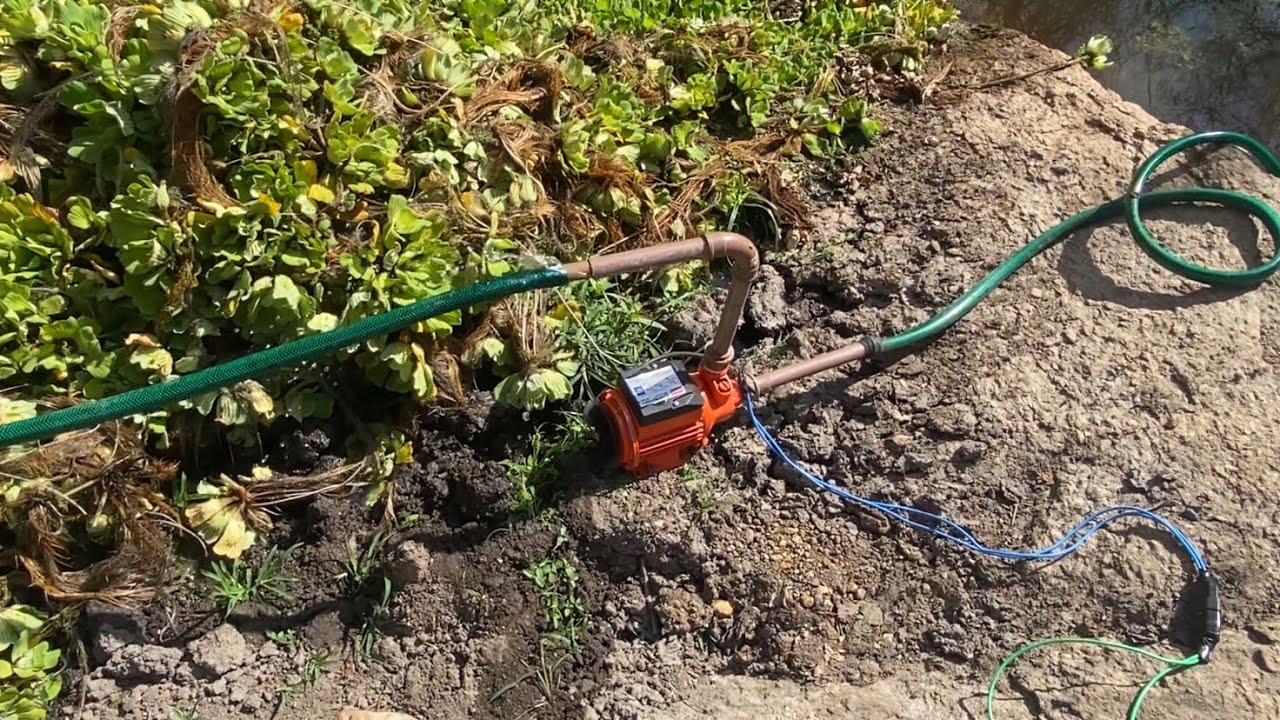 Coloquei uma bomba de água pra me ajudar na irrigação 