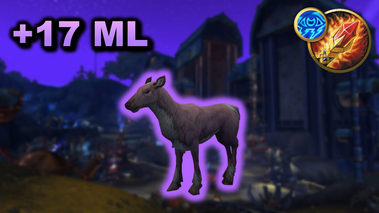 4.2M Overall... AS A DEER?! +17 ML Arcane Mage M+ PoV | WoW 11.1.5 The War Within Season 2