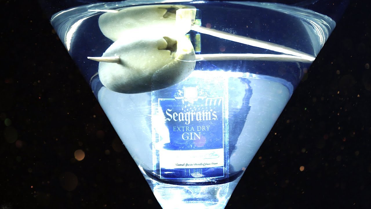 SEAGRAMS GIN PROMO