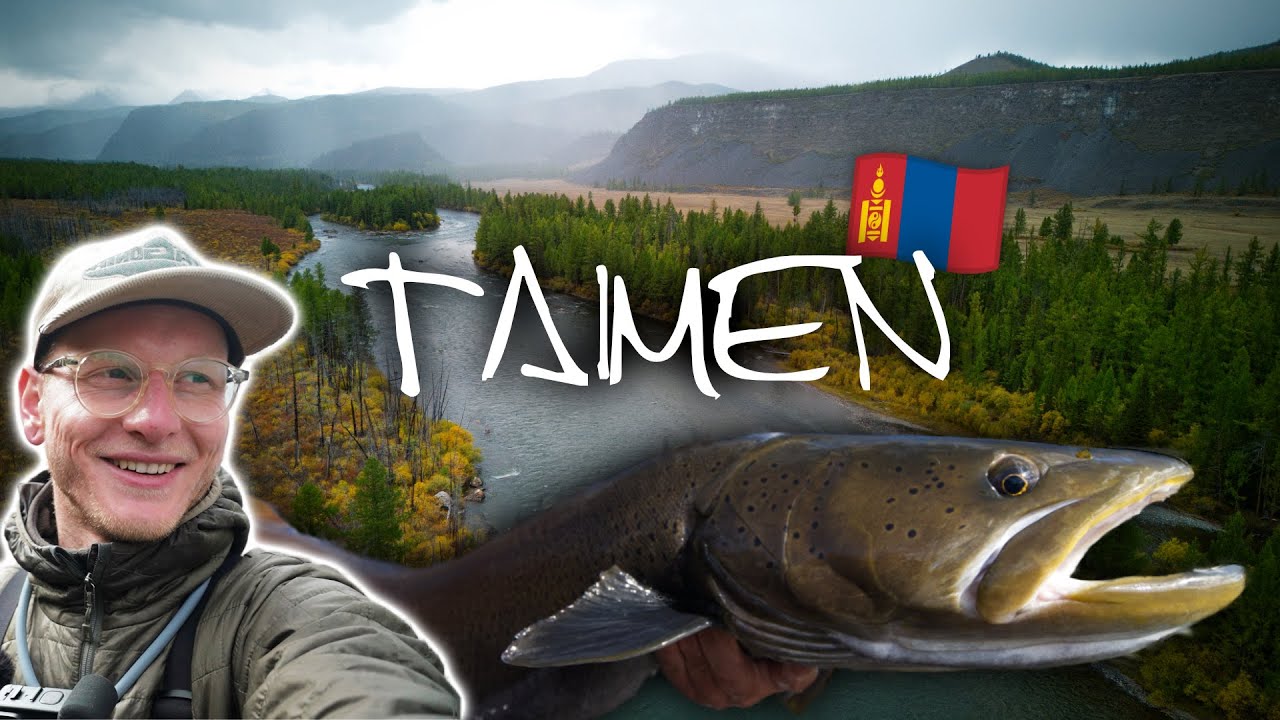 Angeln auf Taimen im wilden Norden der Mongolei! 🇲🇳