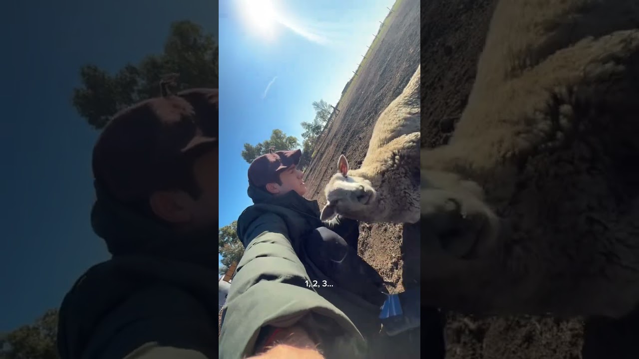 El final 🤡 #campo #comedia #humor