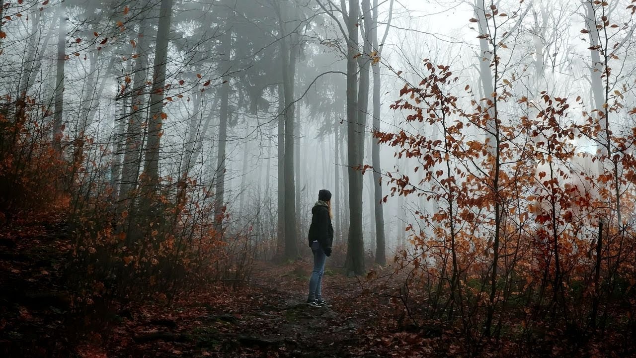 Late autumn exploring | Shot on smartphone