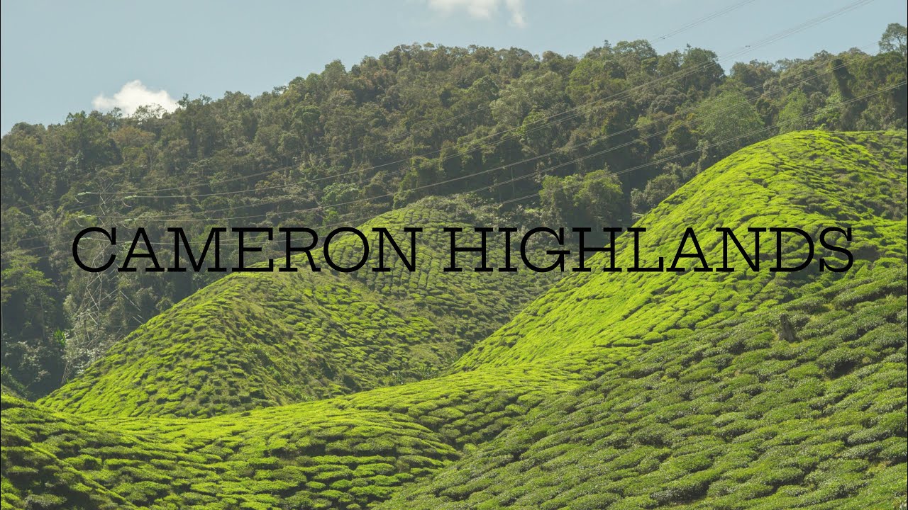 Hiking my way through the Cameron Highlands