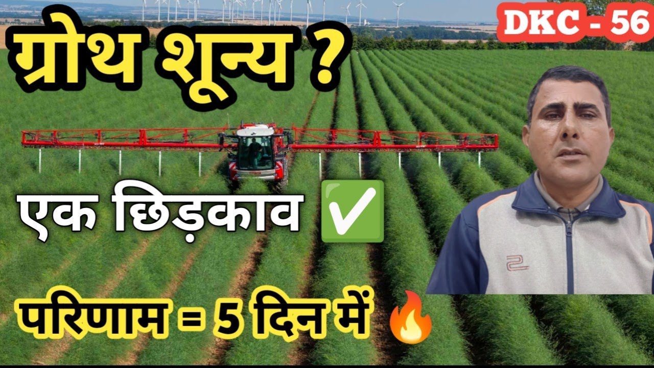 🌾 फसल 60–80 दिन की है, लेकिन बढ़ोतरी शून्य? 😱👉 सिर्फ 1 छिड़काव | 5 दिन में दिखेगा चमत्कार 🔥