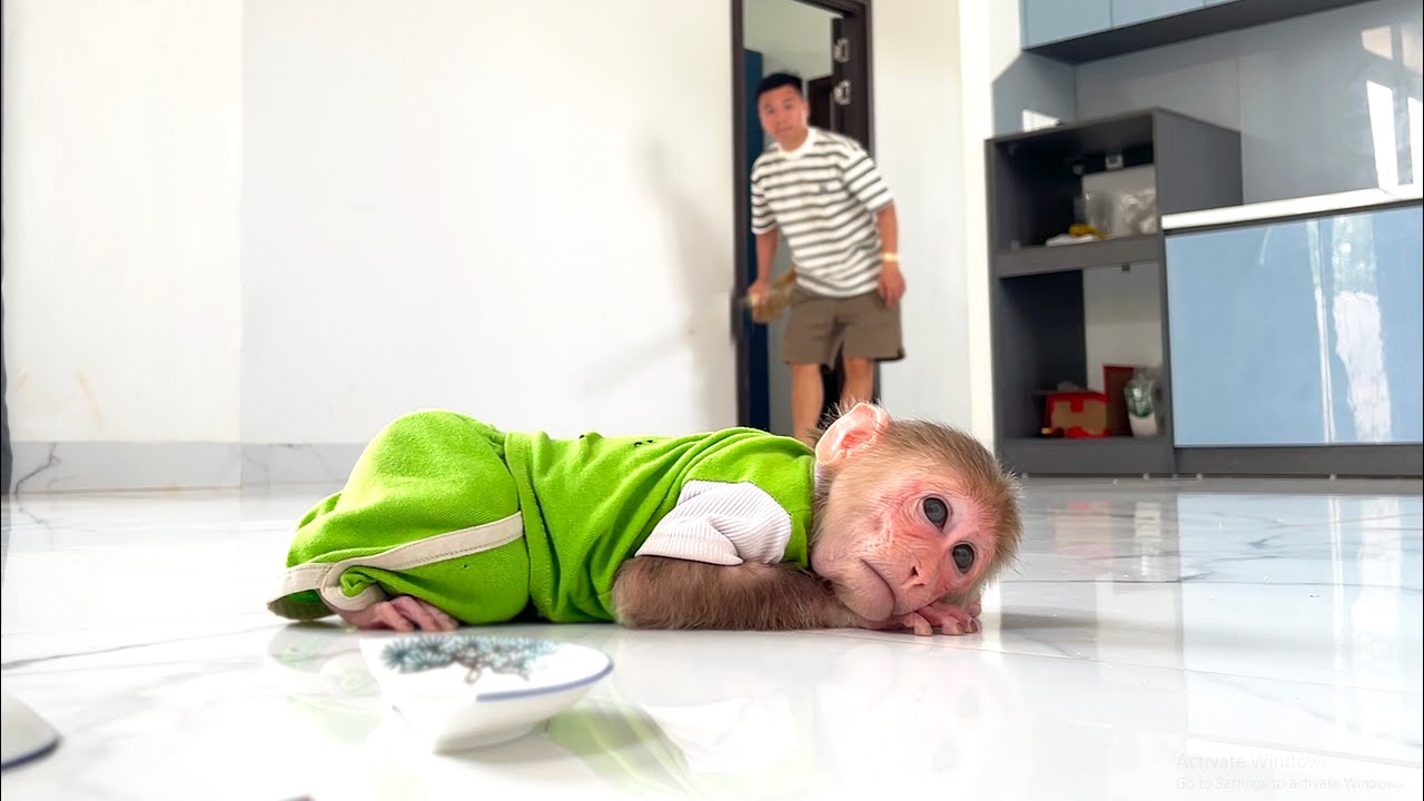 You’ll Laugh at Dad’s funny reaction when CUBIS causes Little Mishap