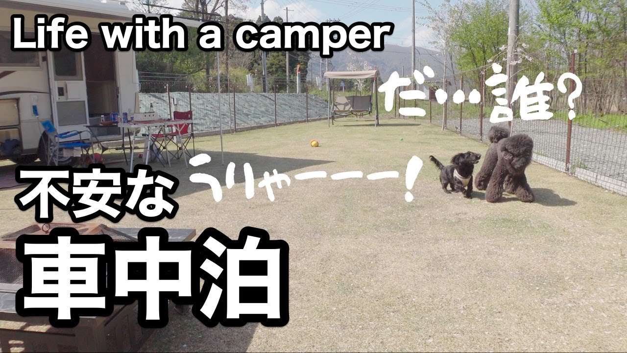 【不安な車中泊】旅が初めての犬を連れていったら…｜プライベートドッグラン＆個室風呂＆サウナ付き全部盛りRVパーク｜リラクピングメタセコイア店