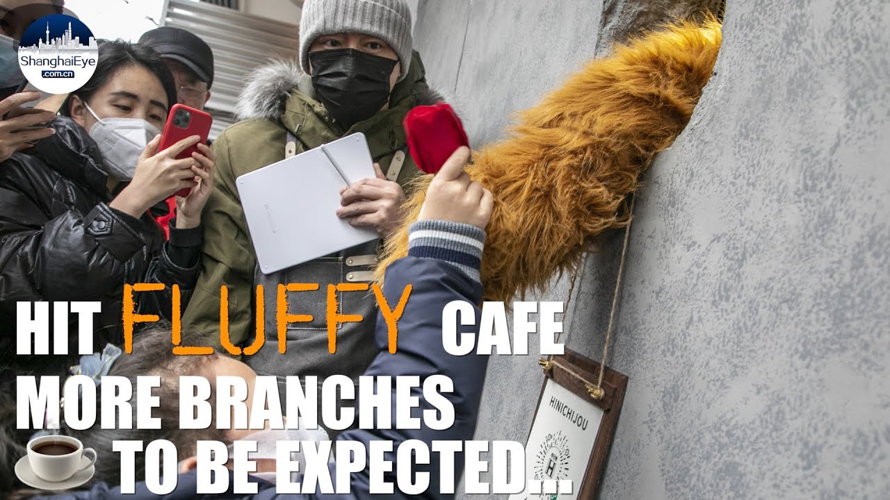 WHY you'll discover more 