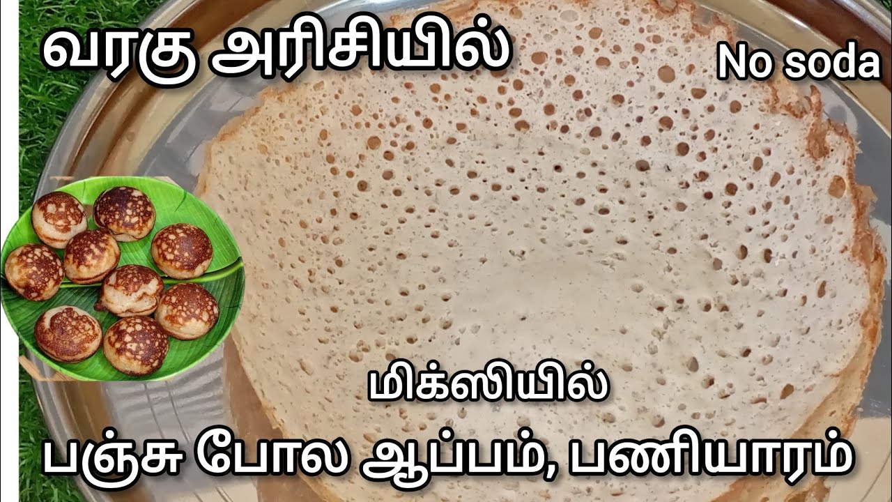 💥வரகு அரசியில் பஞ்சு போல ஆப்பம் ,பணியாரம் மிக்ஸியில் ஈஸியா செய்யலாம் | Kodo Millet Soft Appam Recipe