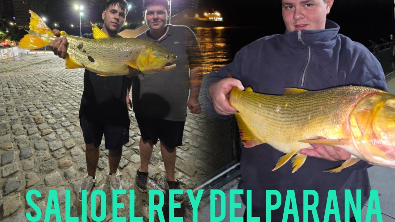 Pesca de costa en rosario dos d&iacute;as de pesca impresionante los dorados que salieron 😱