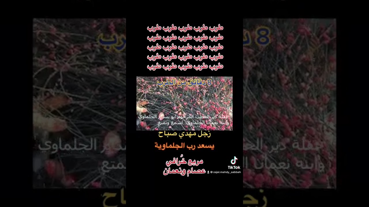 مربع نعمان الجلماوي و عصام الجلماوي ، احلى مربع حداية ، شعر