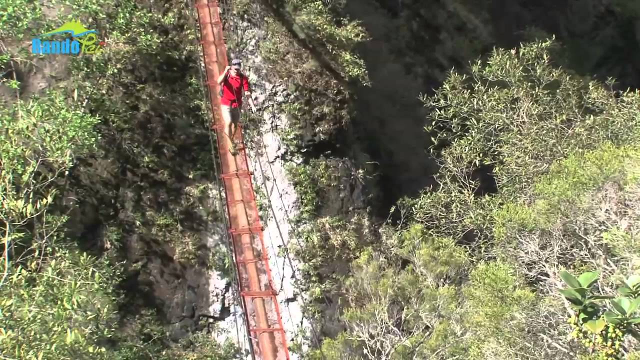 Rando Péi - La forêt du Tapcal à Cilaos