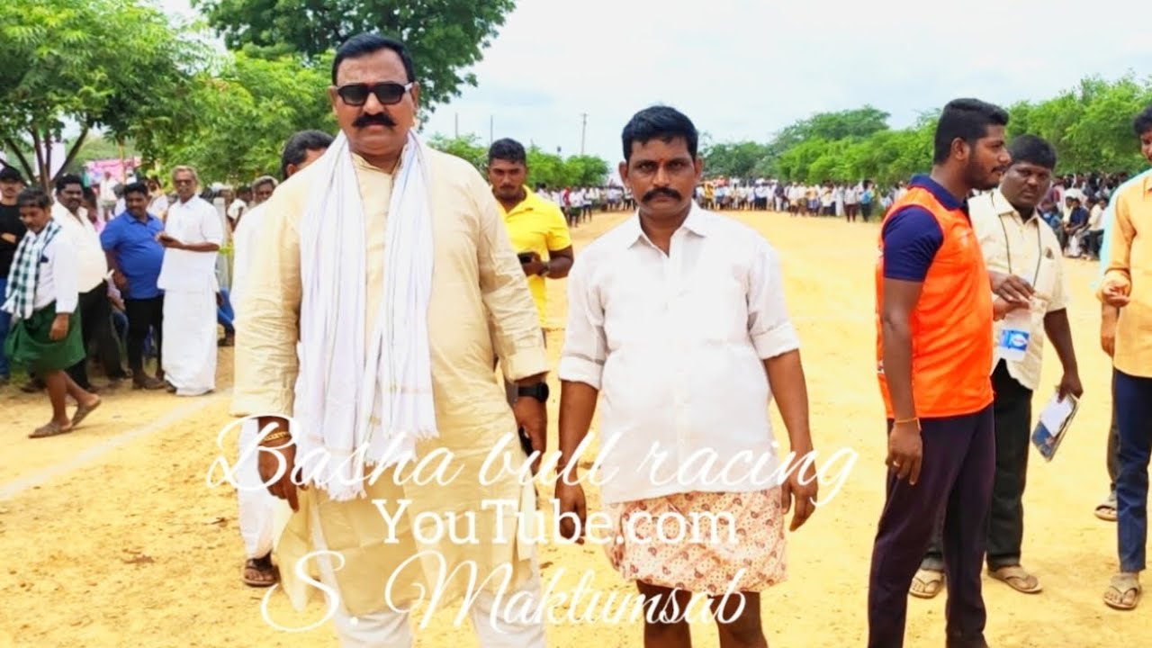 నల్ల చెరువు పల్లె  సీనియర్స్ విభాగానికి 2వ జత SSR బుల్స్