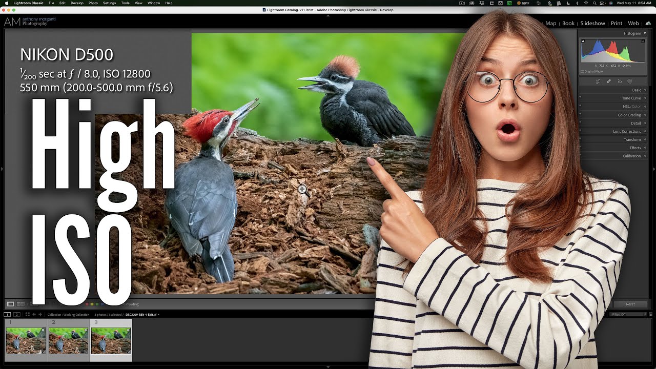 How I Deal With High ISO in Post Production