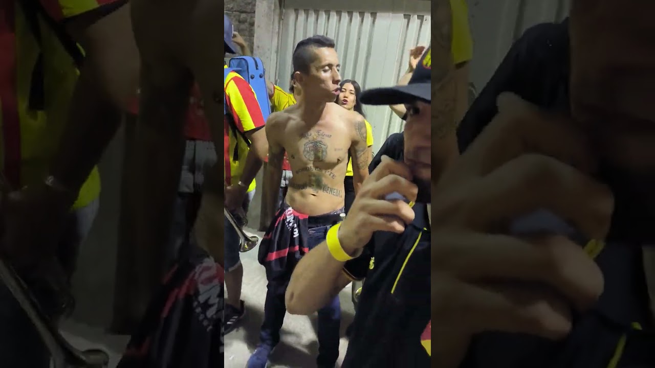 siempre desde sur te alentaremos lobo sur pereira