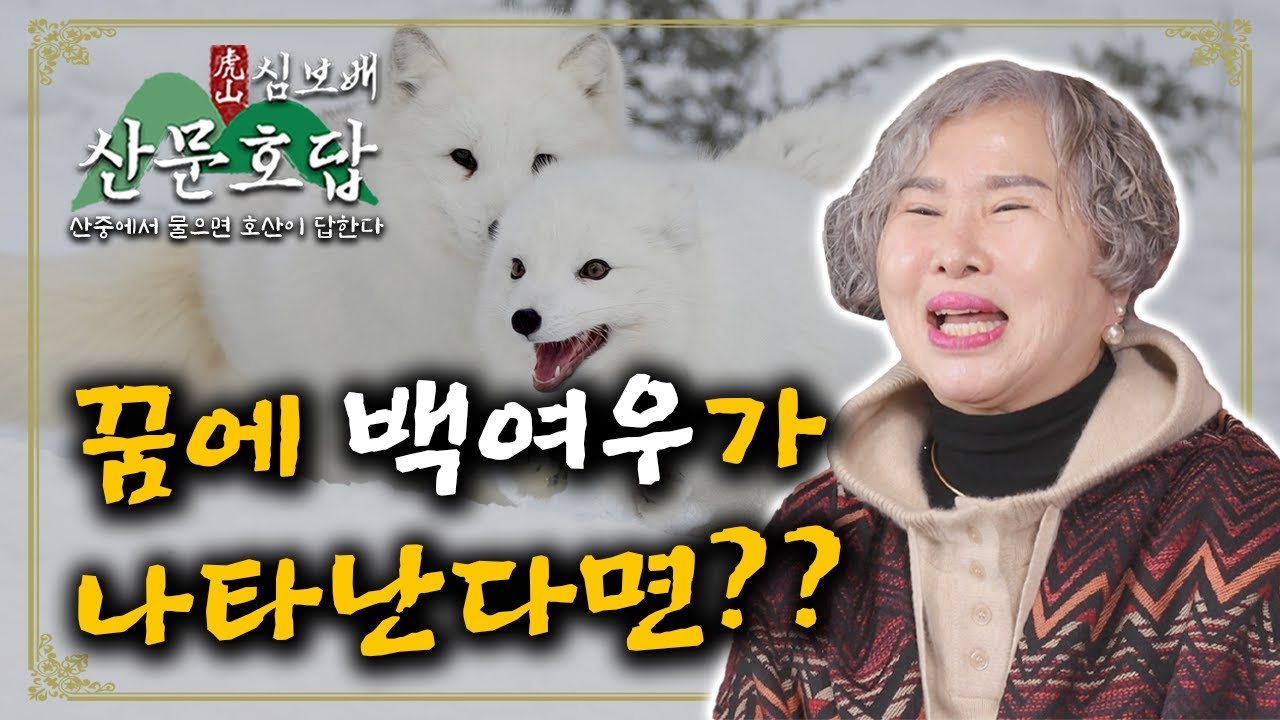 [호산 심보배] 산문호답 51 - 백여우가 나타났다!!! 여우가 꿈에 나타나면 벌어지는 일 #울산점집 #꿈해몽 #여우꿈