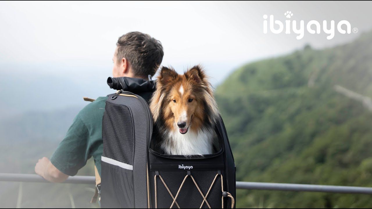 Effortlessly Carry Your Heavy Pets ｜Champion Medium-sized Pet Carrier Backpack