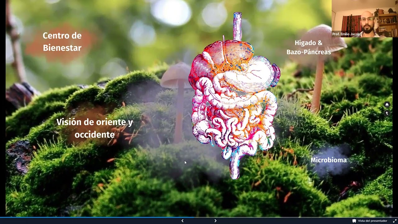 Charla Nutricion y Salud: Una mirada Integral - Escuela San Bao de Medicina China Clásica