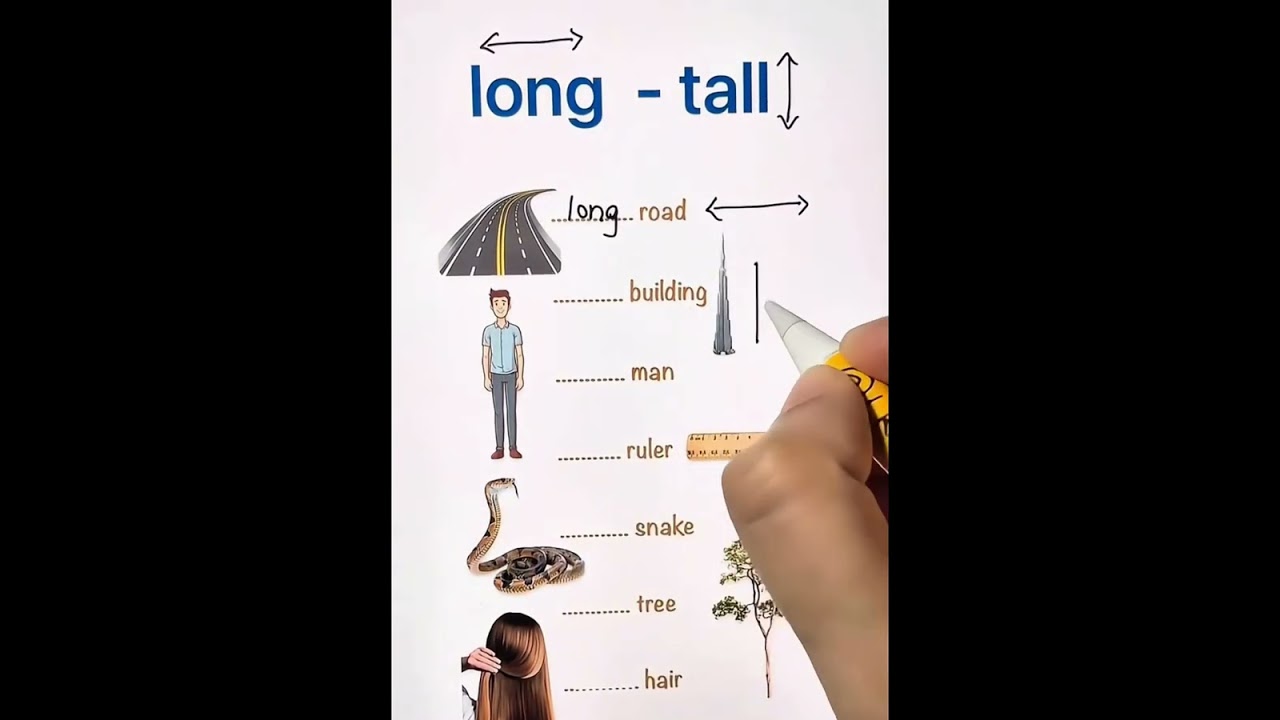 الفرق بين long/tall. 