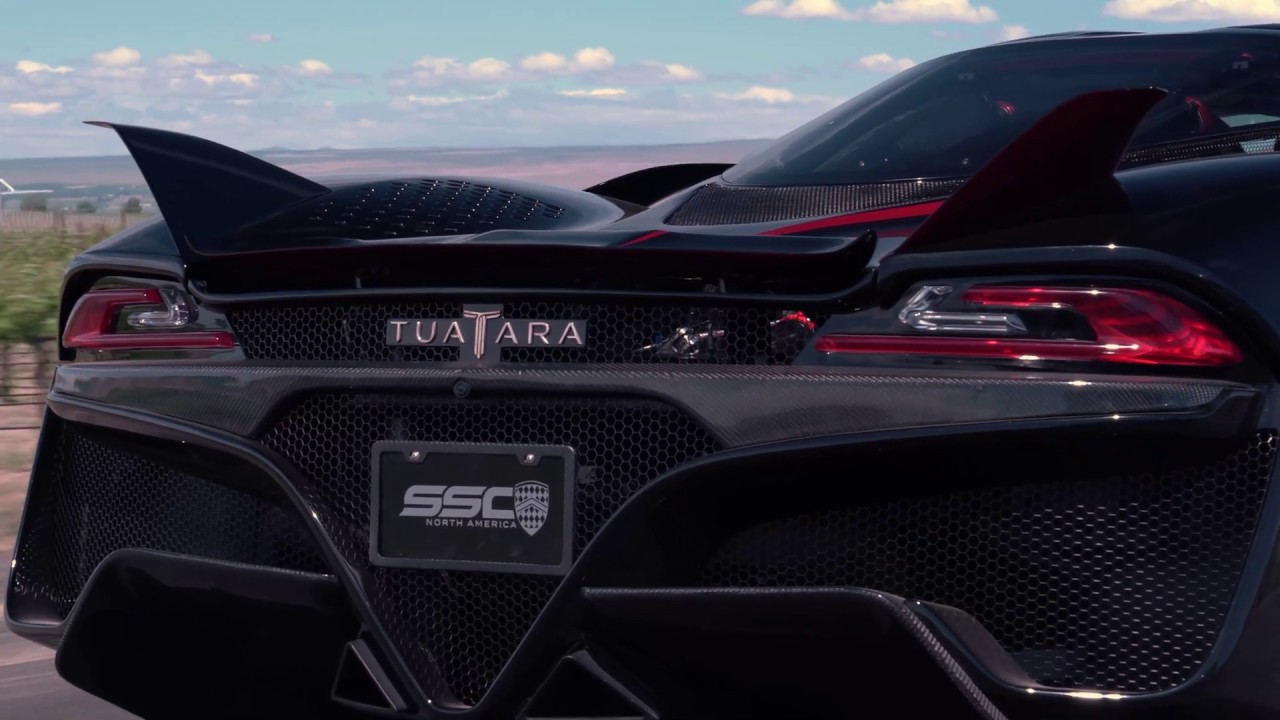 Tuatara | Experience