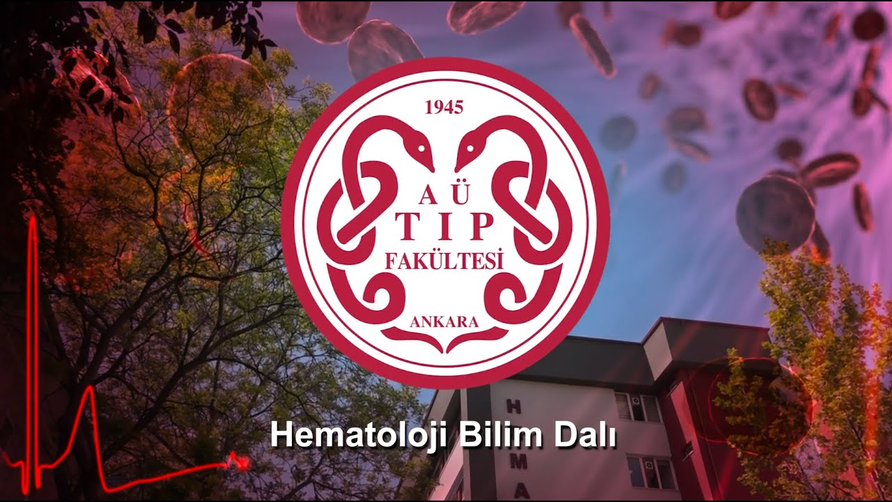 Hematoloji Bilim Dalı Tanıtım Videosu