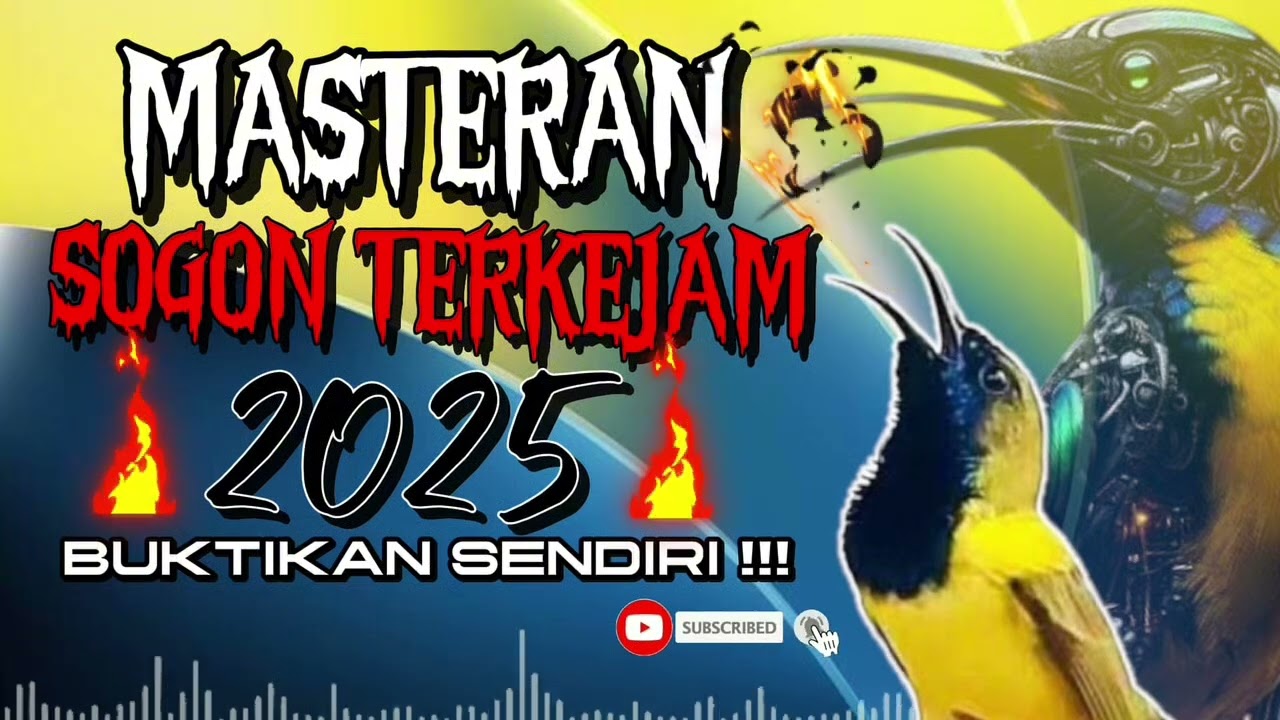 MASTERAN SOGON TERKEJAM | 2025 BUKTIKAN SENDIRI‼️ #sogon #sogongacor #sogokontong #sogokontonggacor