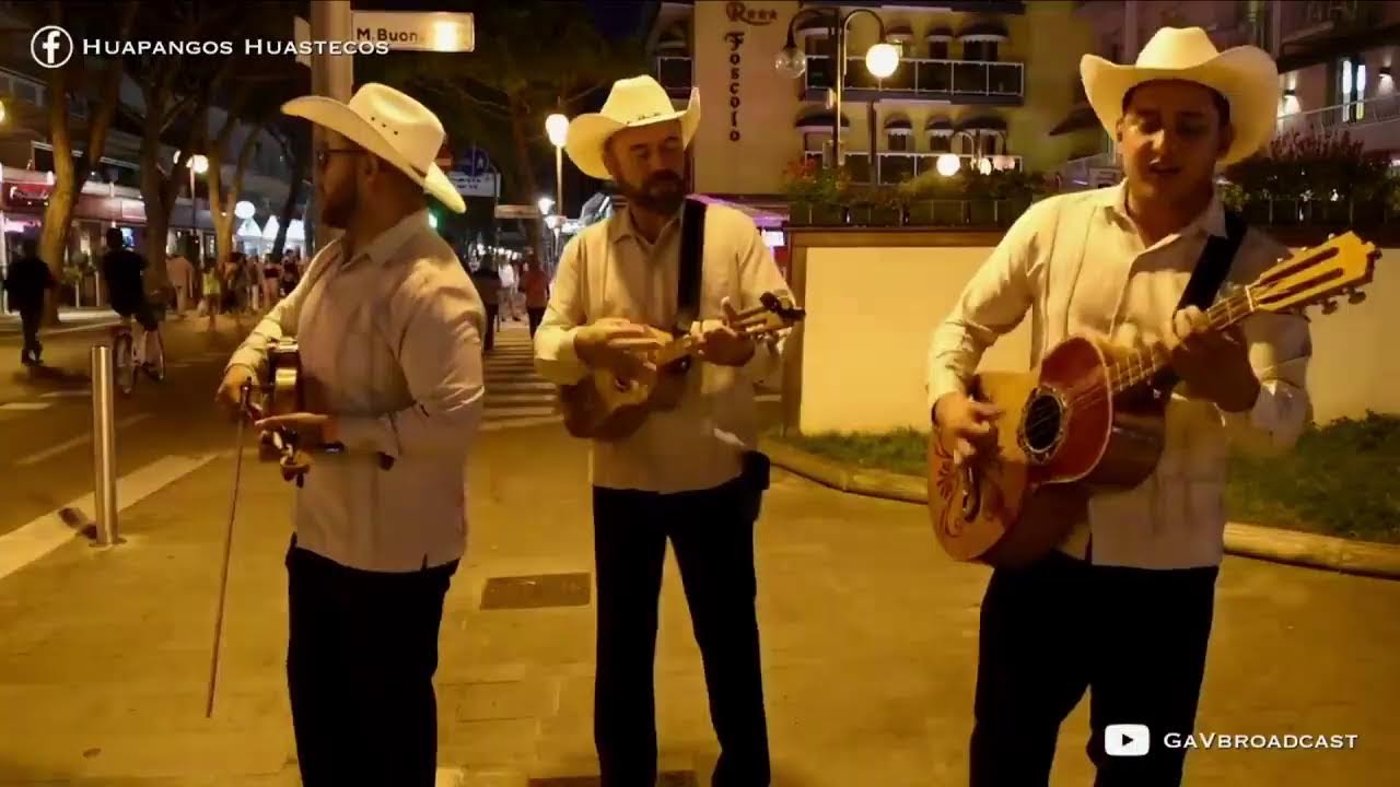 Escuchemos Huapangos Huastecos!