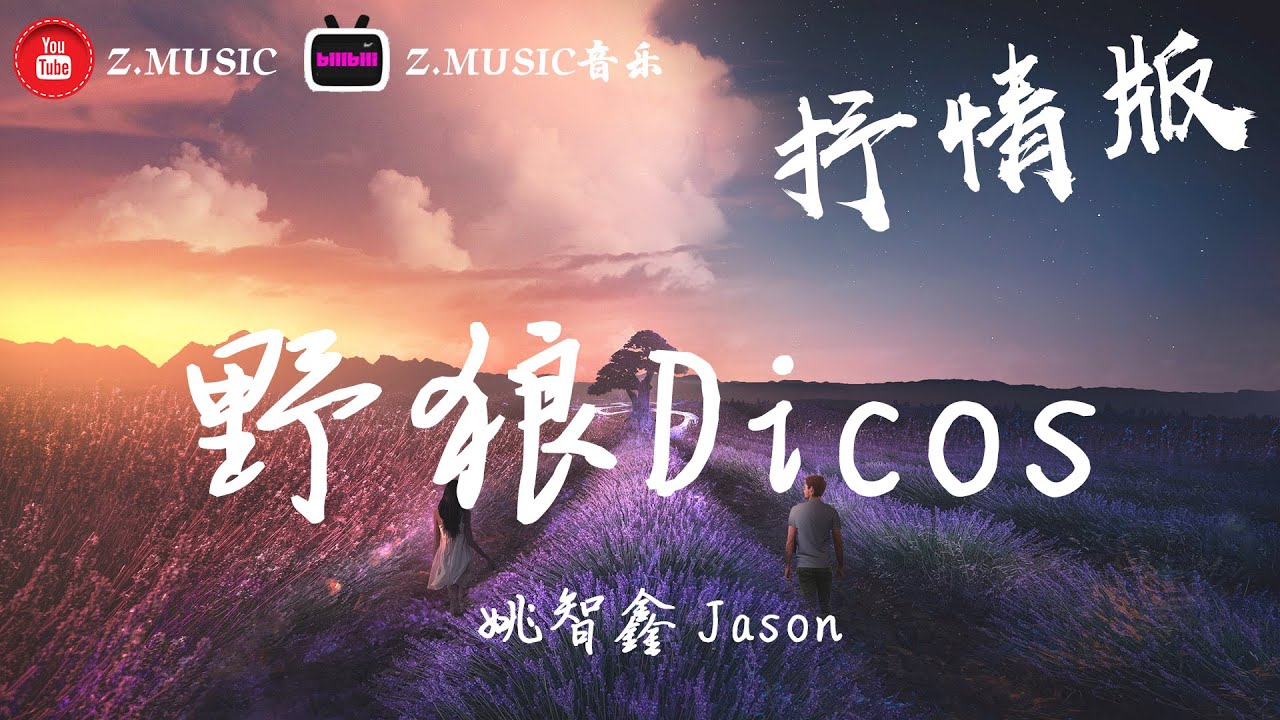 抖音野狼disco抒情版 - jason姚智鑫《高音質 / 動態歌詞Lyrics》MV