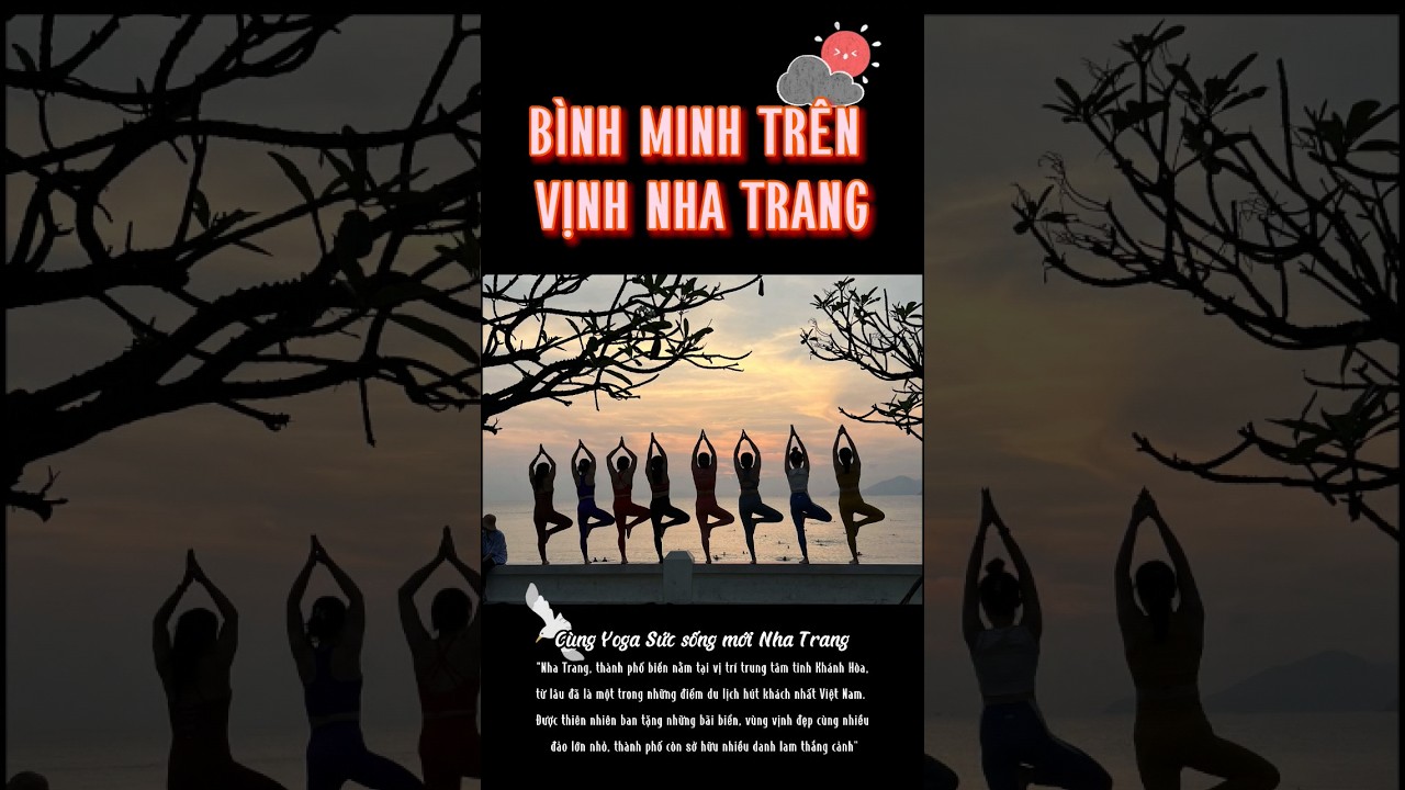 Một buổi sớm mai c&ugrave;ng đồng bọn tr&ecirc;n vịnh Nha Trang #yoganhatrang #yoga #yogasucsongmoinhatrang