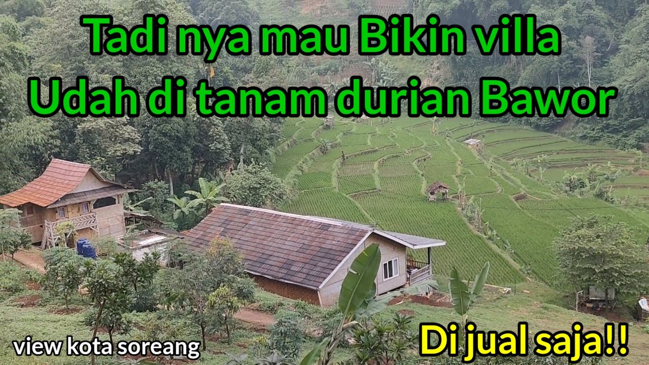Kampung Sukajadi yang sejuk‼️Ada Tanah mau di jual udah Di tanam durian mangga dan pete