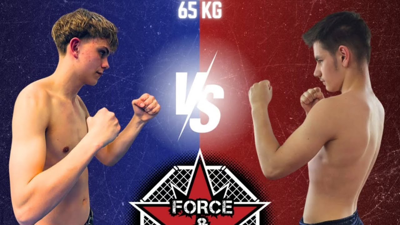 Johannes Kannowski vs Ludovic Attila Putyer — K1, 65 Kg