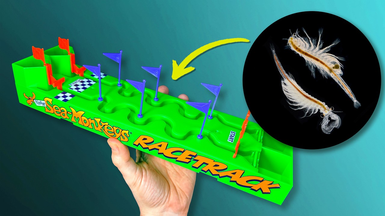 Ипподром Sea-Monkeys | РЕДКОСТЬ!