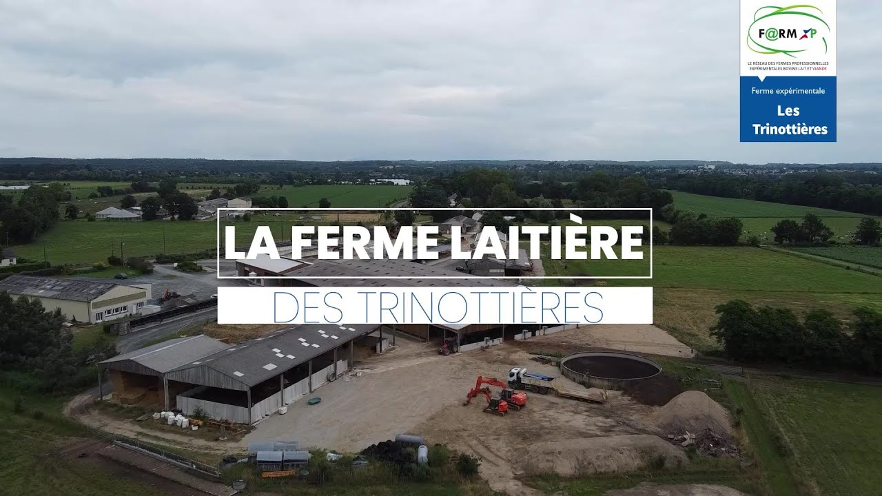 La ferme laitière des Trinottières (49)