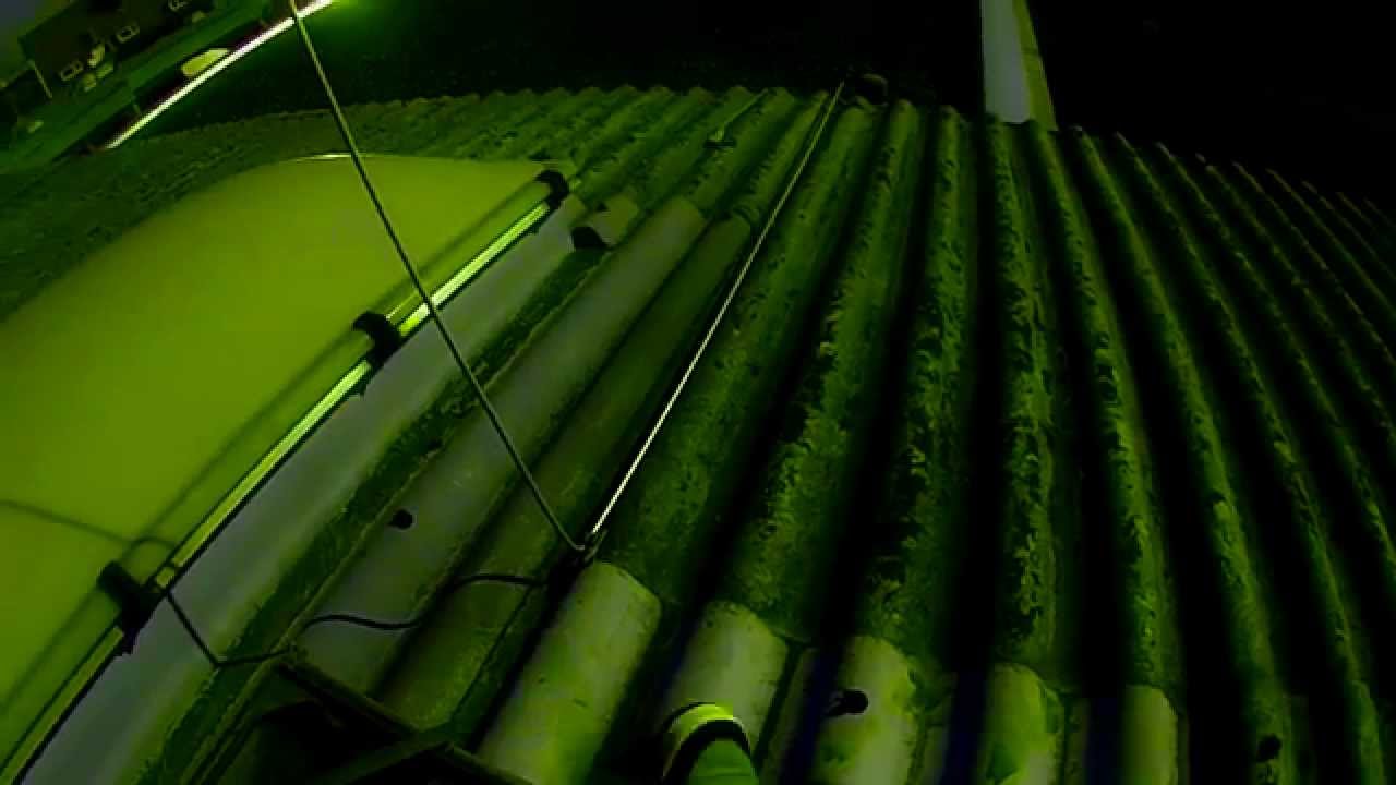 Alan Fitzpatrick - Truant - Cocoon Recordings - OFFICIAL VIDEO