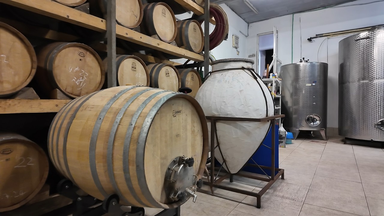 CRVIK Winery—explore a cellar tour near Dubrovnik, Dalmatia, Croatia!