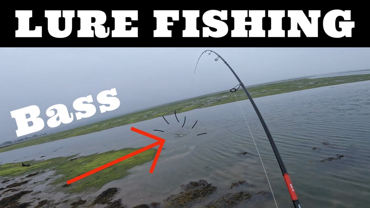 BASS Lure Fishing in UK Harbour | Portsmouth