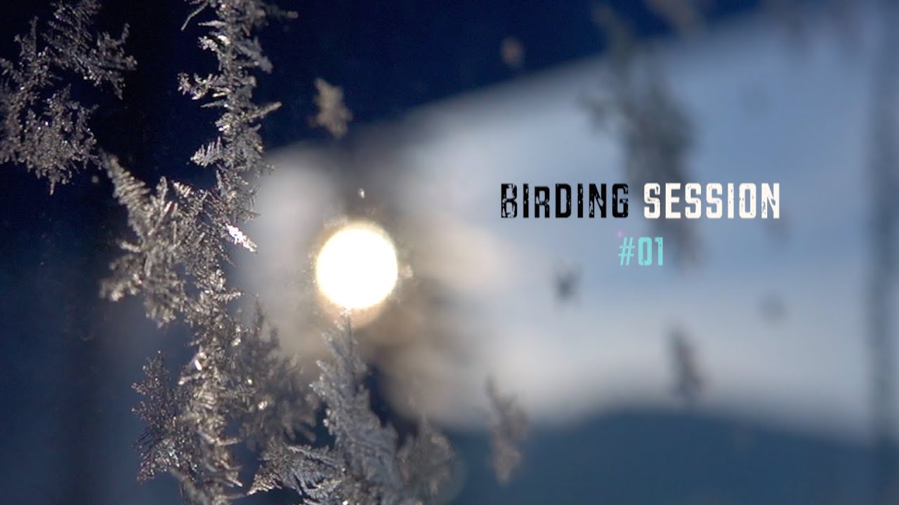 Birding.Session 01