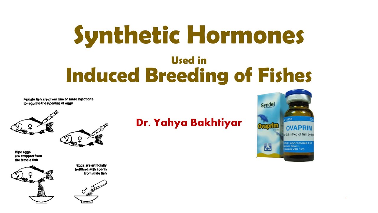 62 Synthetic Hormones used for Induced breeding of carps/fishes