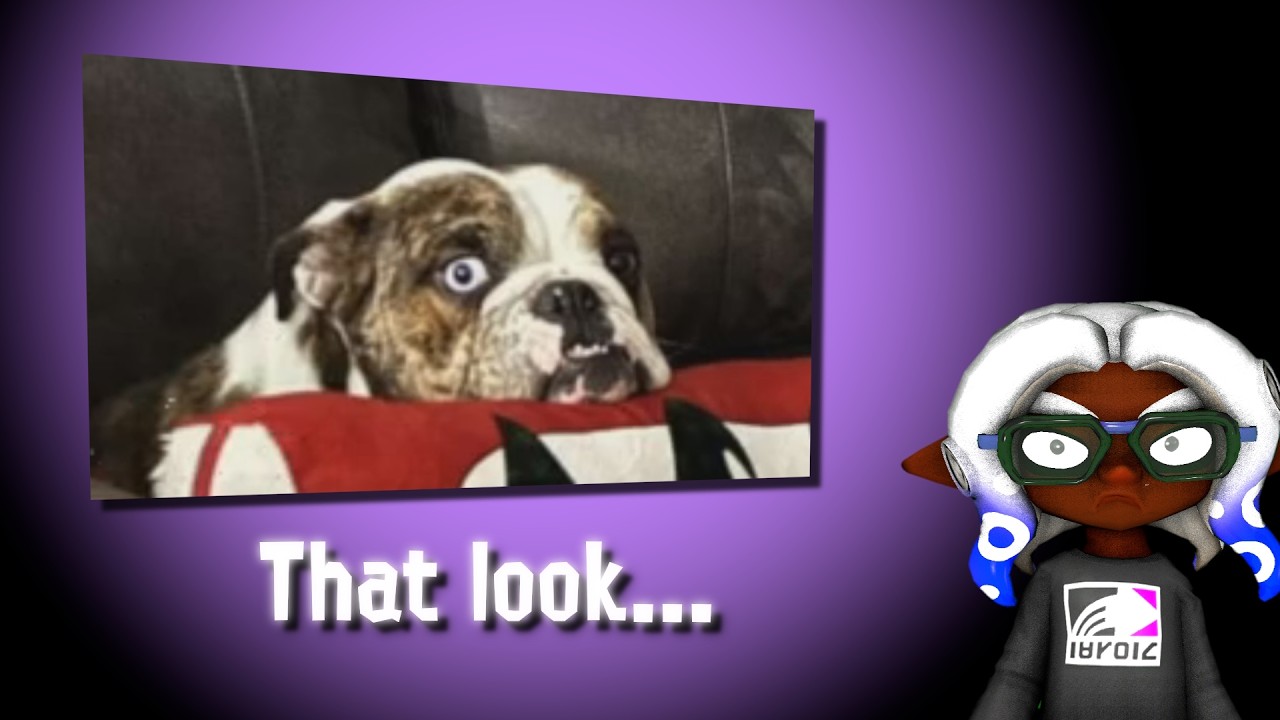 Arf arf! (Meme Review)