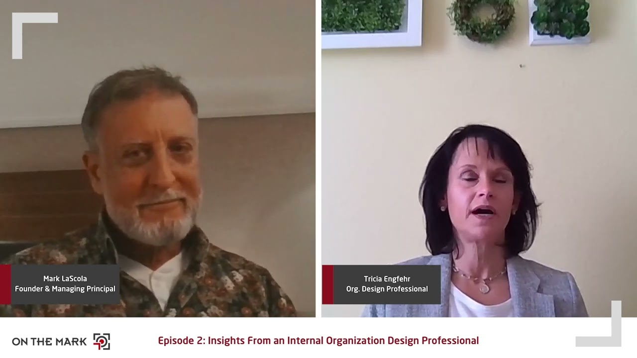Modernizing Operating Models: Insights from an internal organization design professional Ep. 2