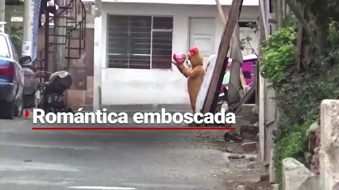 ¡Feliz San Valentín, hijo de tu....! | Se disfraza de OSO DE PELUCHE para capturar narcotraficante