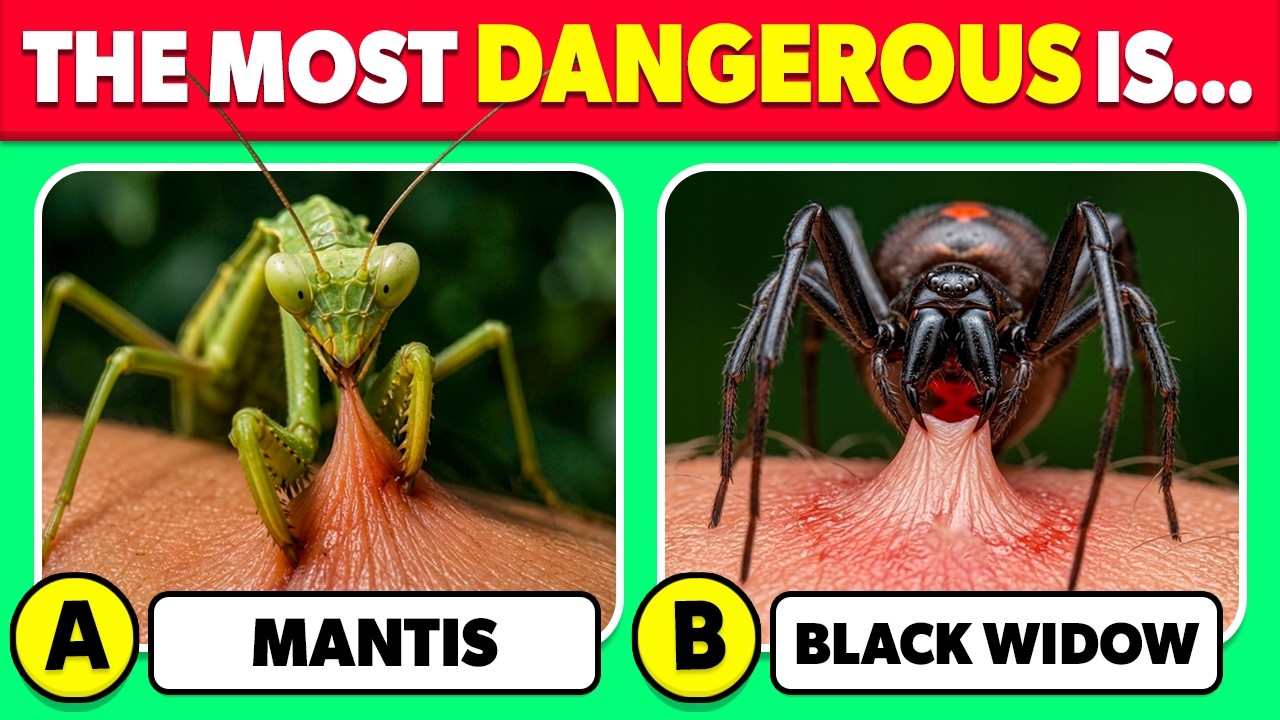 Насколько хороши ваши знания о ЖИВОТНЫХ? 🦗🕷️🤔 | Викторина на знание животных