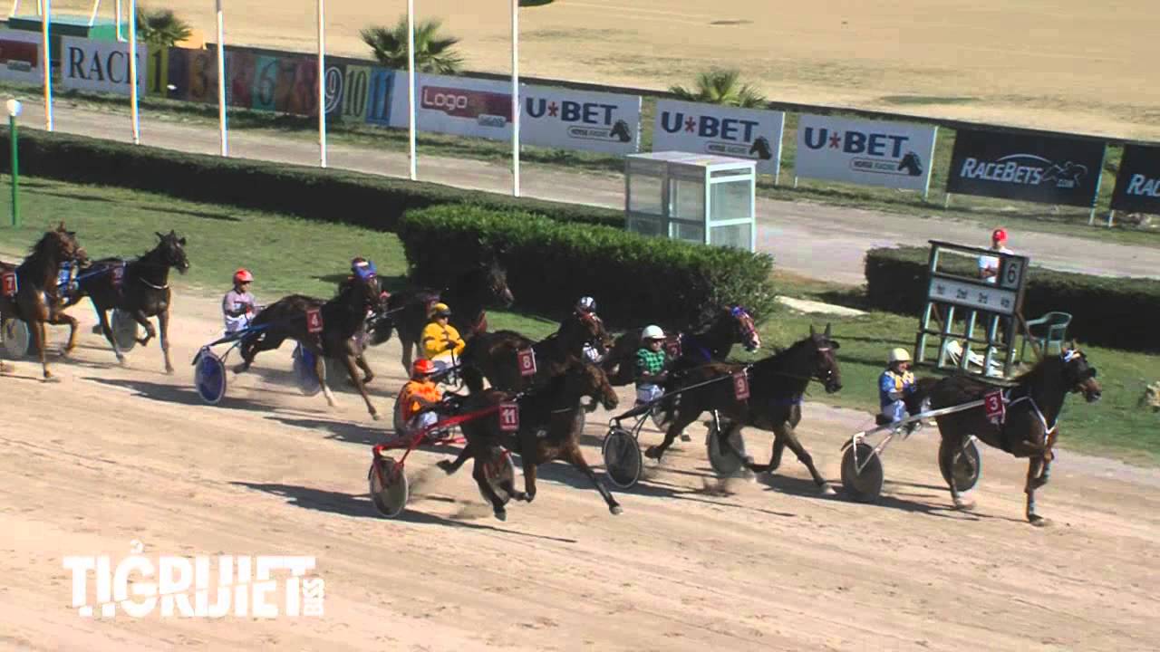 Finali Tazza Kbira 2013