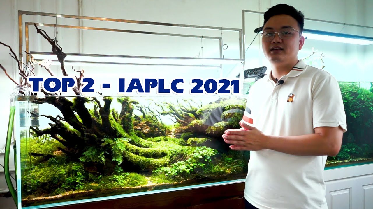 Vlog - Hết dịch thăm Sunaquarium với bể TOP 2 IAPLC 2021