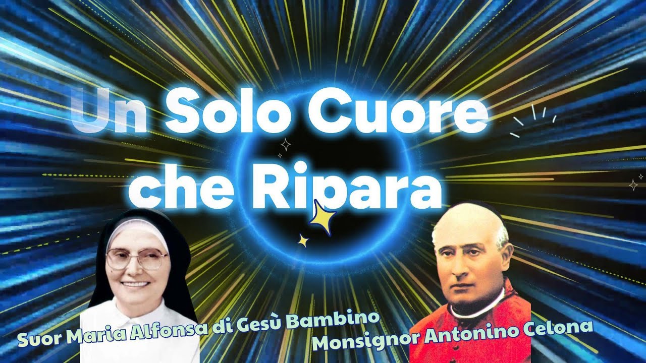 Un Solo Cuore che Ripara