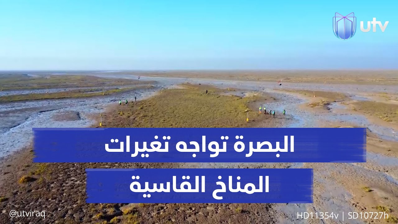 تنتفع منها حيوانات البر والبحر.. البصرة تواجه تغيرات المناخ القاسية بزراعة مليون شجرة «مانغروف»