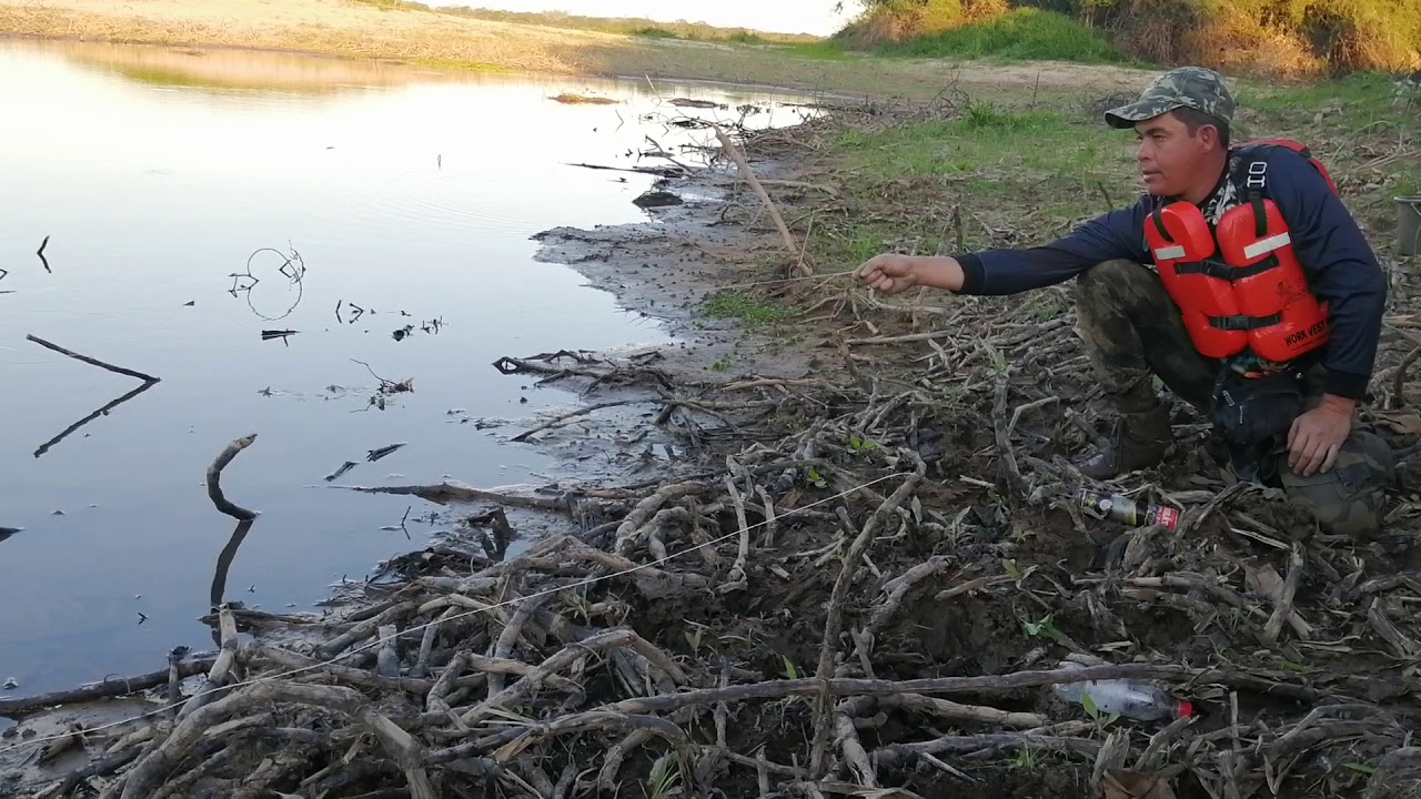 As&iacute; se pesca Tare'yi