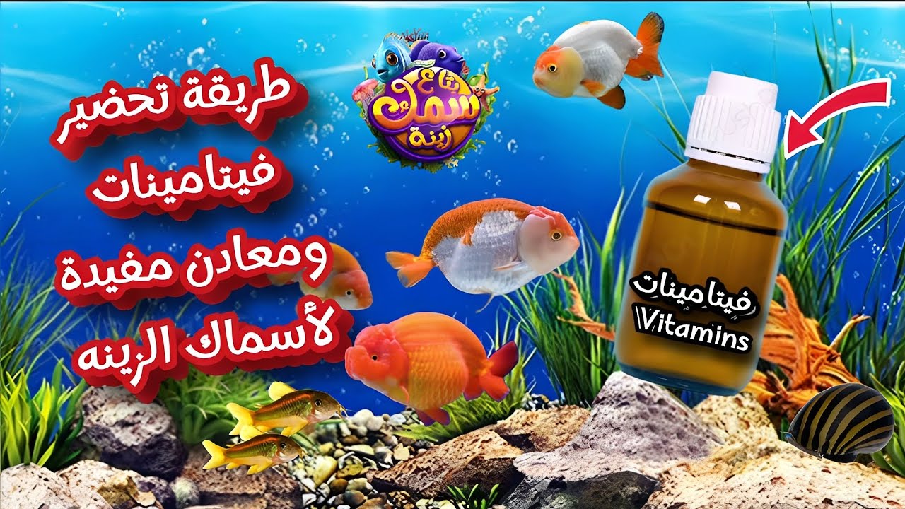 طريقة تحضير فيتامينات ومعادن مفيدة للاسماك الزينه